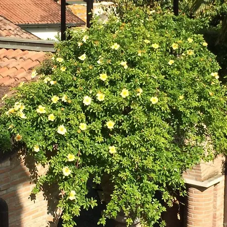 Dama Estense 3* Copparo